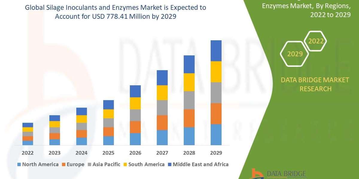 Silage inoculants and Enzymes Market Size, Share, Trends, Industry Growth and Competitive Analysis