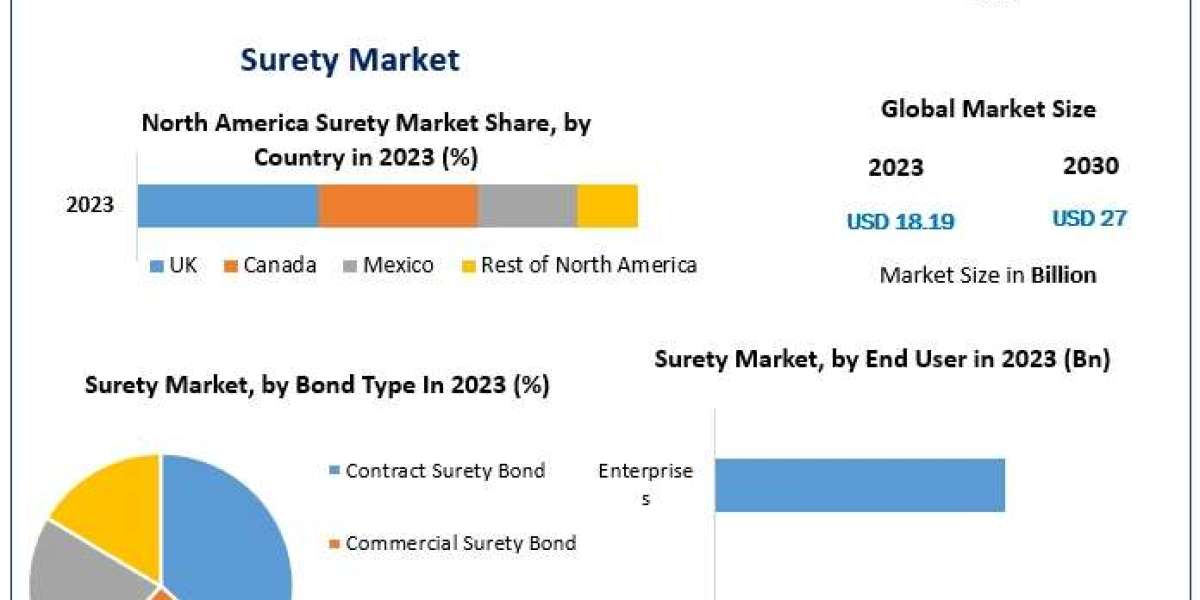 ​Surety Market Global Share, Segmentation, Analysis and Forecast 2030