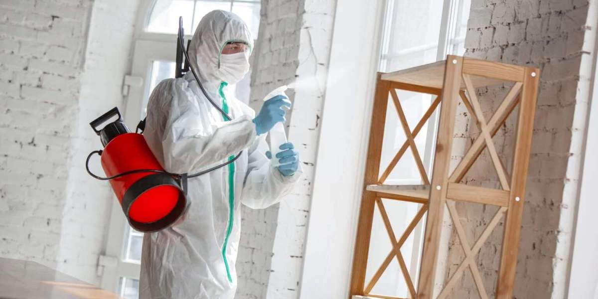 Effective Pest Control Solutions in Abbotsford and Surrey
