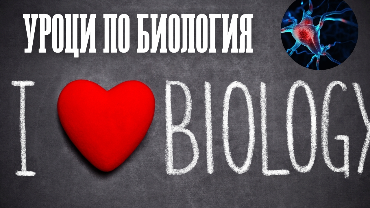Курсове по биология: Основни уроци и полезни съвети за подобряване компетенциите и уменията по дисциплината Биология -