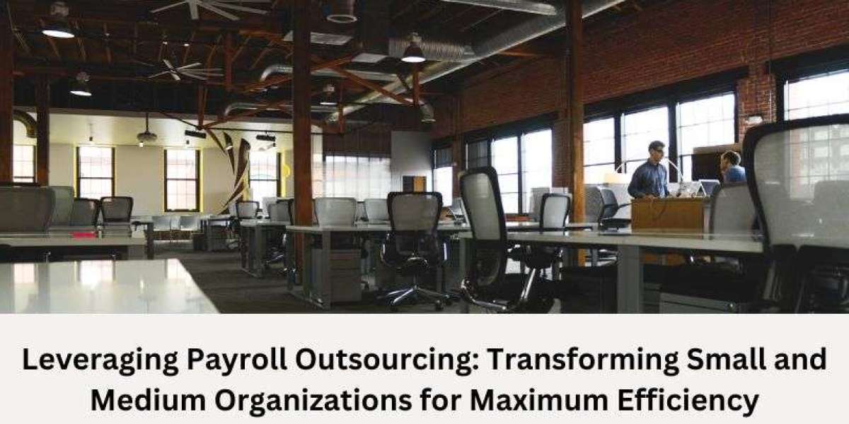 Leveraging Payroll Outsourcing: Transforming Small and Medium Organizations for Maximum Efficiency   