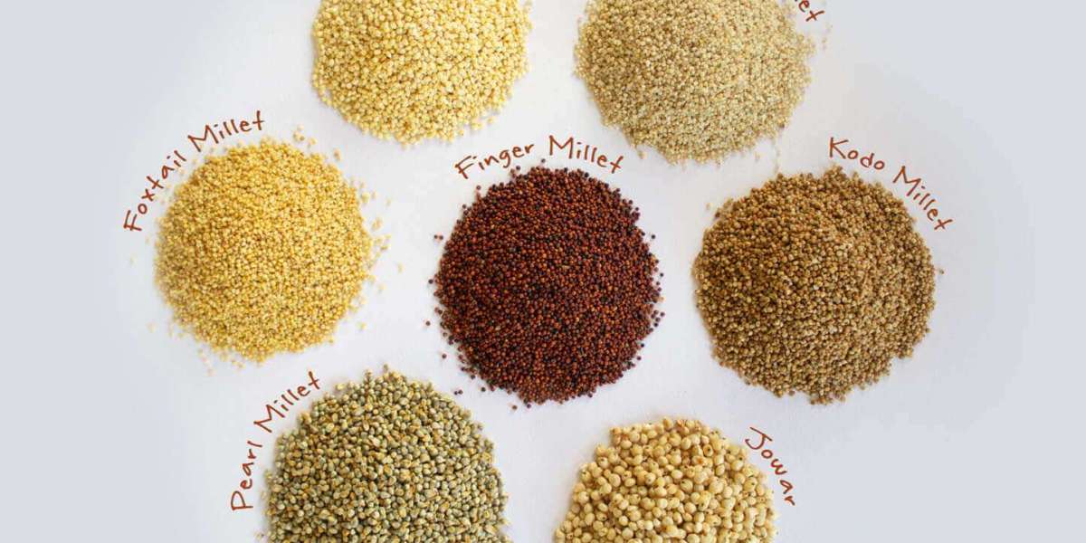 Millet Market is Anticipated to Register   4.60% CAGR through 2031