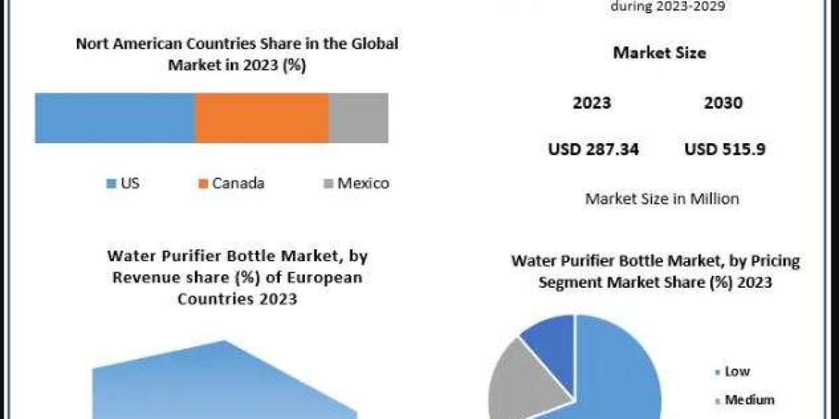 Water Purifier Bottle Market Growth Strategies: Competitive Landscape