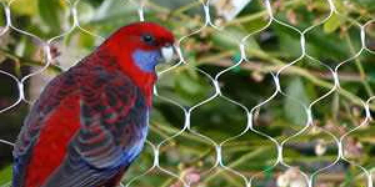 The Crucial Role of Anti-Bird Net Manufacturers in Protecting Urban and Agricultural Environments