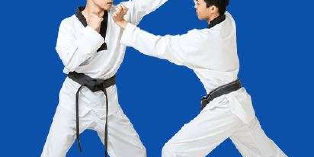 Martial arts journey taekwondo