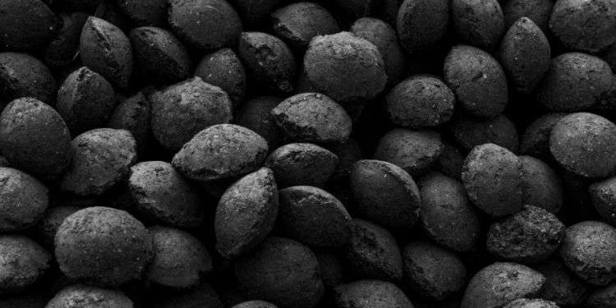 Charcoal Briquette Market Size, Share, Growth, Report, Trends 2024-2032