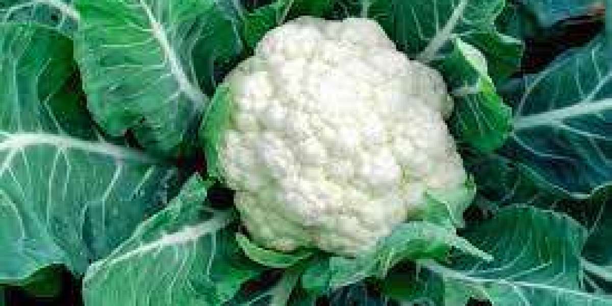 Revealing the Health Advantages of Cauliflower for Men