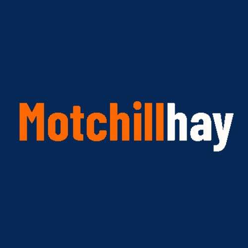 motchill haynet Profile Picture