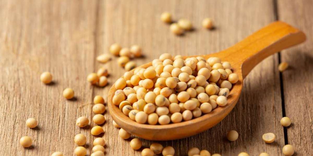 Why Is Soybean Production Crucial for India's Agricultural Economy?