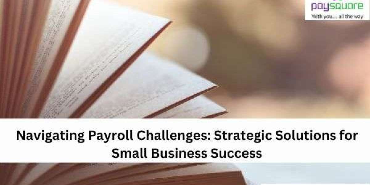 Navigating Payroll Challenges: Strategic Solutions for Small Business Success