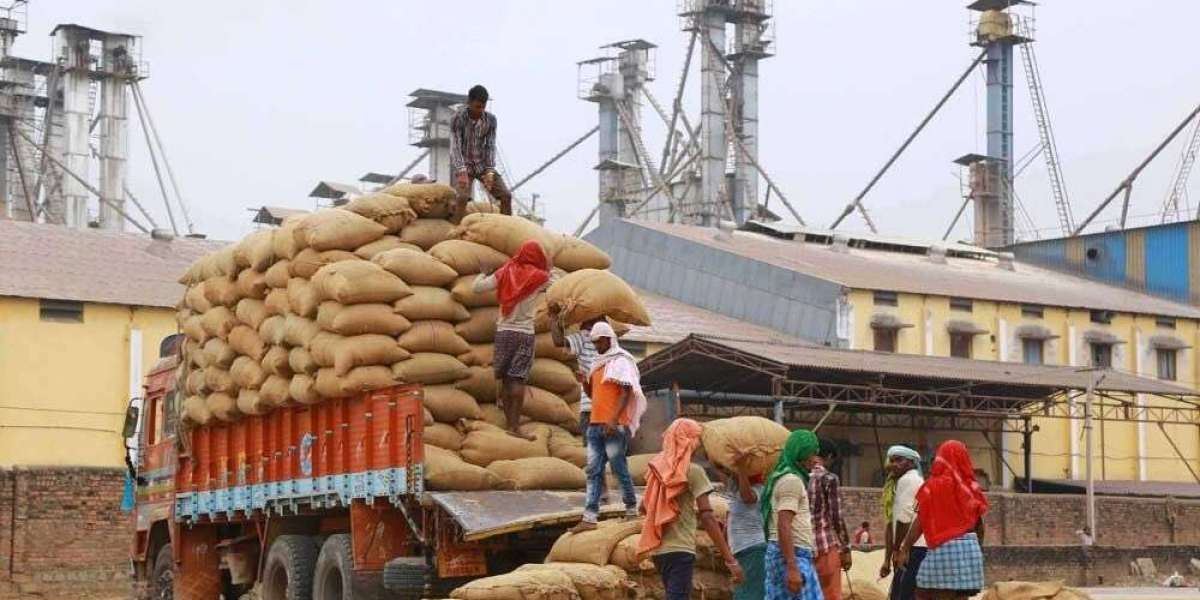 Basmati Rice Manufacturers in India: Crafting Excellence in Every Grain
