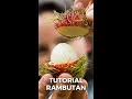 Rambutan | Kaufen bei Jurassic Fruit