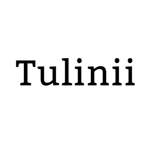Tulinii Store Profile Picture