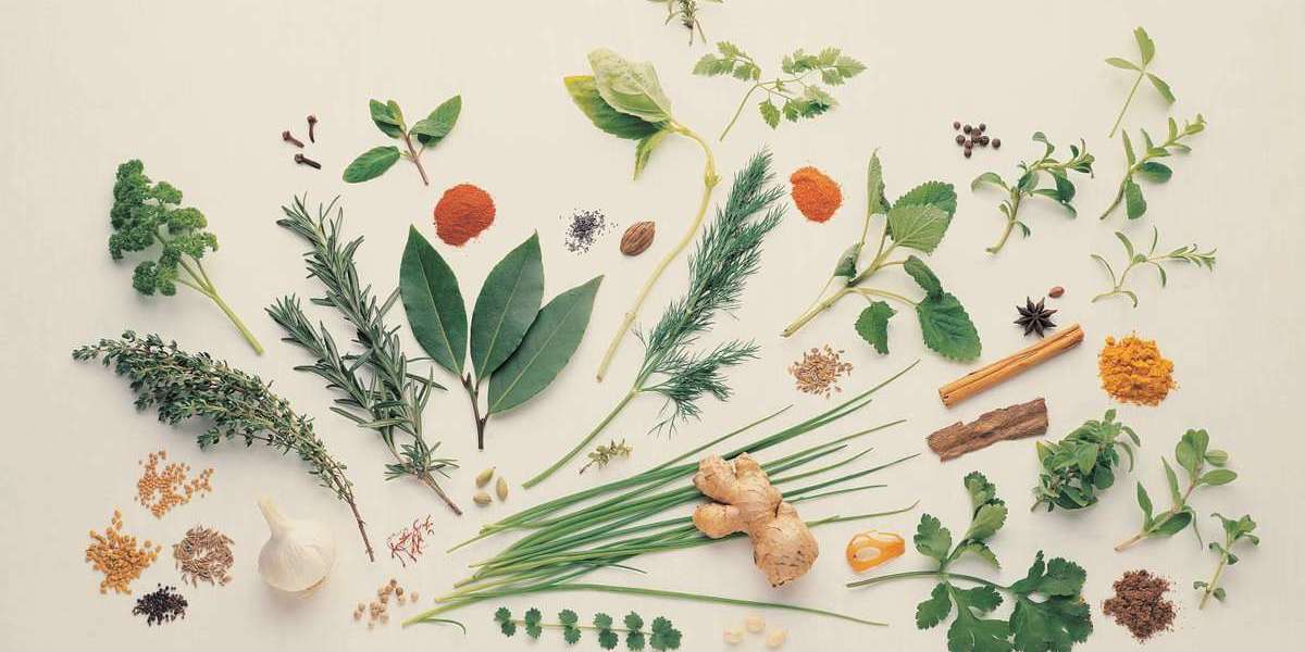 Natural Powerhouse: Growth Factors Driving the Medicinal Plant Extract Market