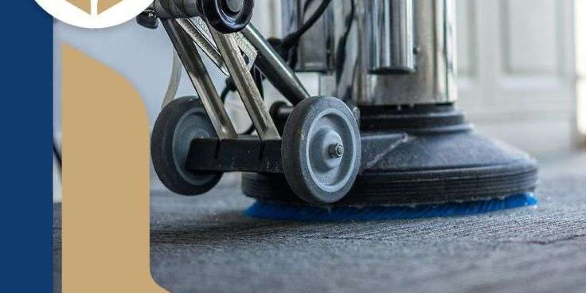 What You Need to Know About Professional Carpet Cleaning?