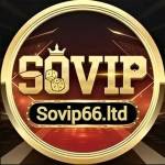 SOVIP 66 Profile Picture