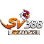 Sv 388 Profile Picture