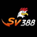 nhà cái Sv388 Profile Picture