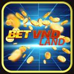 BETVND LAND Profile Picture