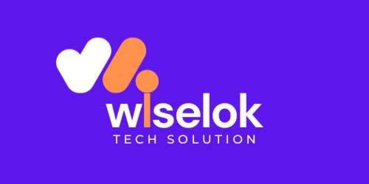 Boost Your Online Presence With Wiselok Tech Solution