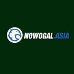 Nowgoal 2in1 Profile Picture
