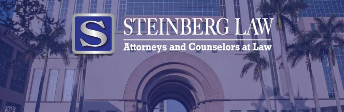 Brett Steinberg Law Cover Image