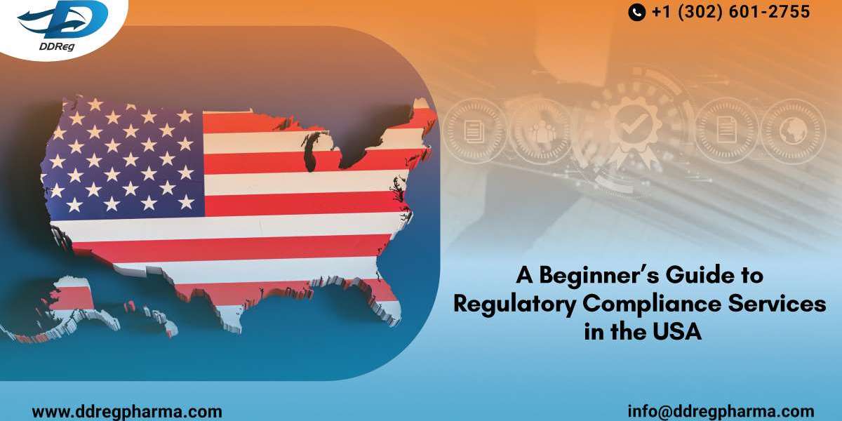 A Beginner’s Guide to Regulatory Compliance Services in the USA