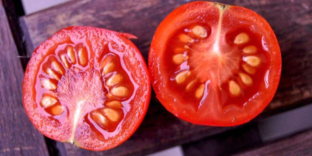 Tomato Seed Market Size, Share, Outlook, Industry Analysis and Forecast 2024-2032