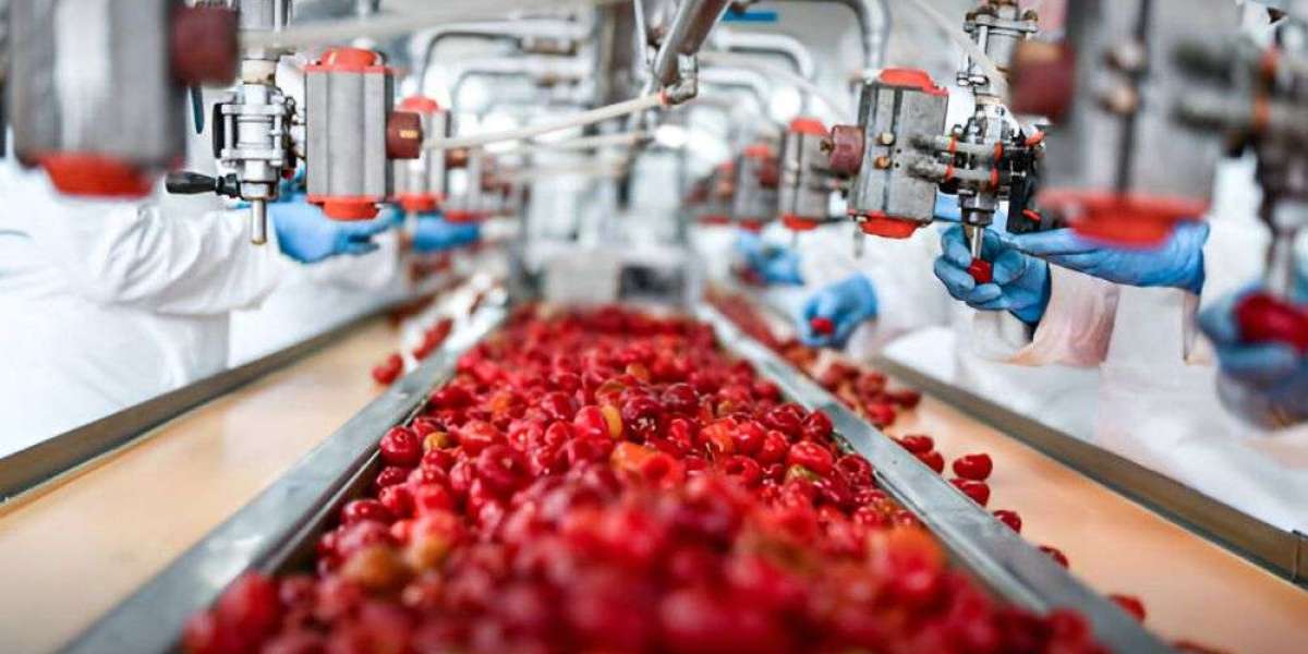 Food & Beverage Processing Equipment Market Business Growth, Development Factors, Current and Future Trends to Forec