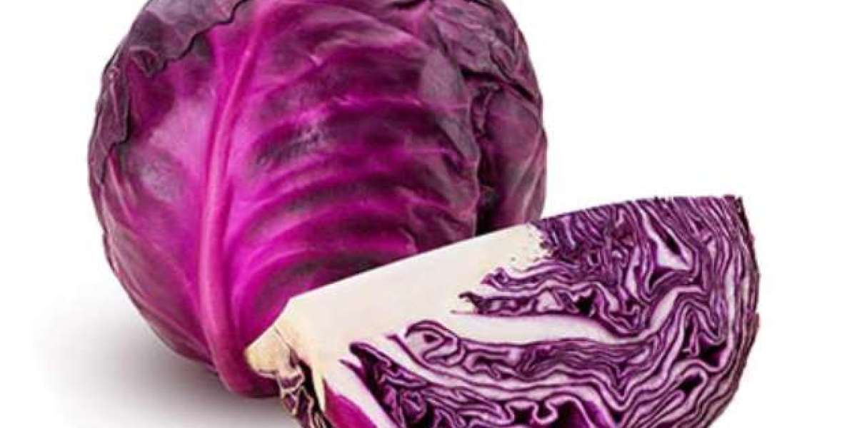 Analysing Red Cabbage Farming in India: Is It a Lucrative Investment?