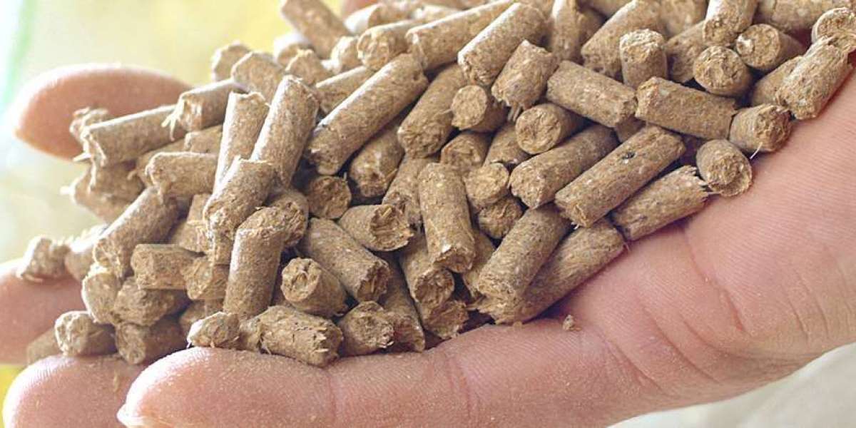 Animal Feed Manufacturing Plant Report: Machinery Requirements, Raw Materials and Business Plan