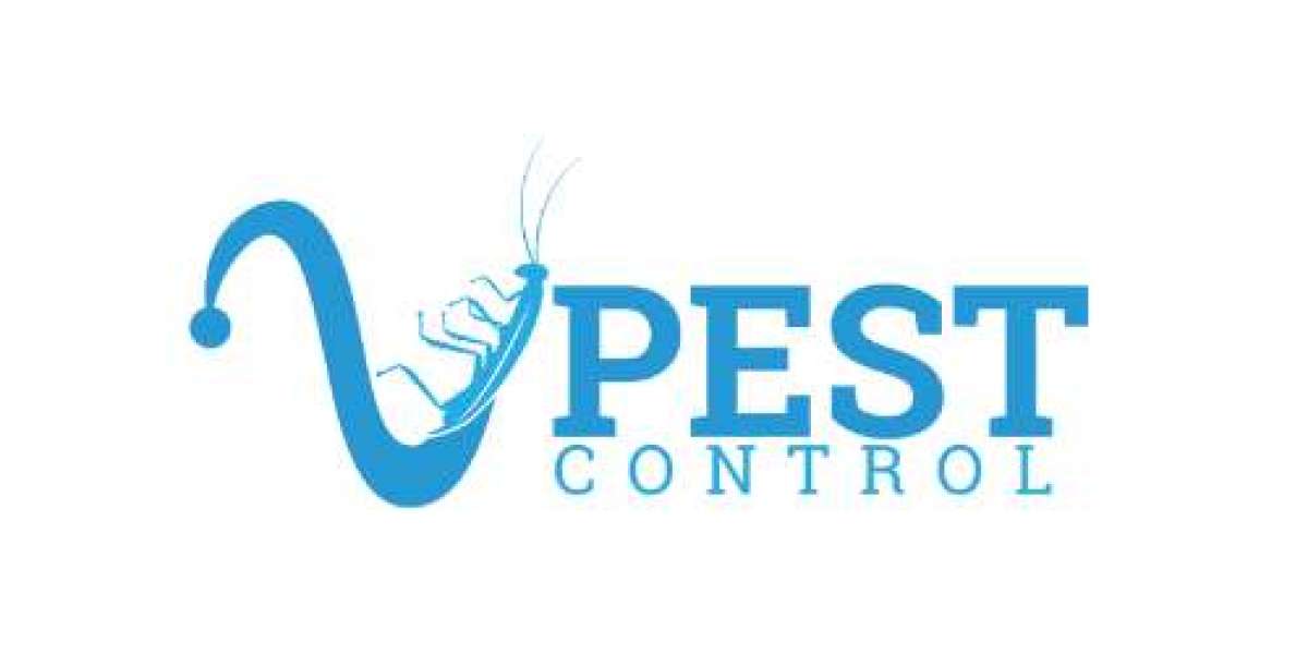 Effective Pest Control Services in Miami - V Pest Control
