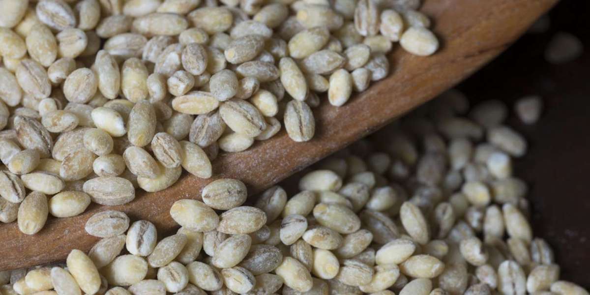 Barley Market Trends, Size, Global Industry Overview, Analysis and Forecast 2024-2032