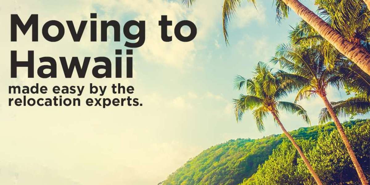 Moving to Hawaii from Texas: Stress-Free with JNR Global Logistics