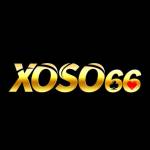 Xoso66 Soccer Profile Picture
