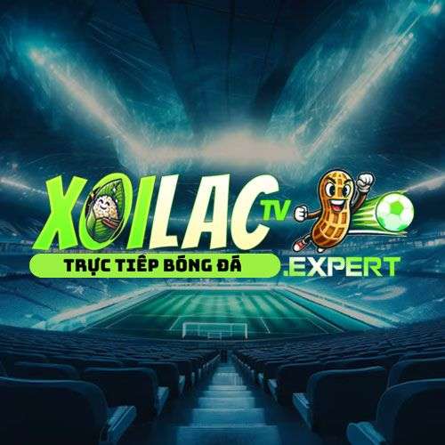 XoilacTV Expert Profile Picture