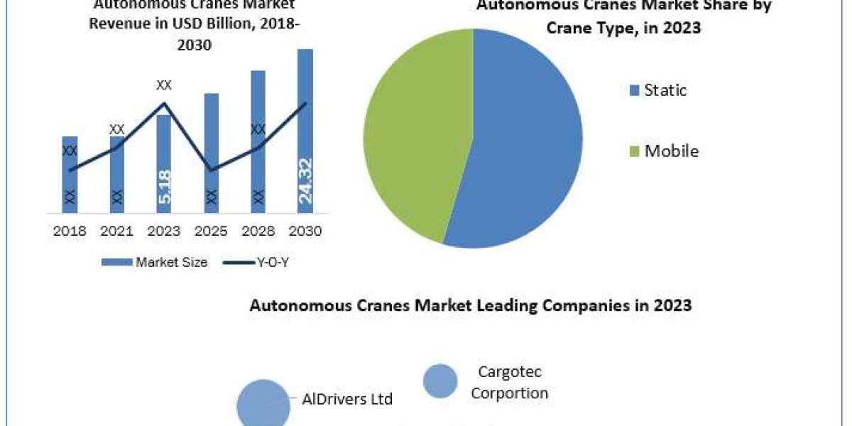 Autonomous Cranes Market Business Plans, Revenue Strategies And Forecast 2030