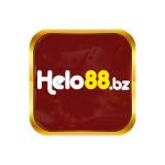 Helo 88 Profile Picture
