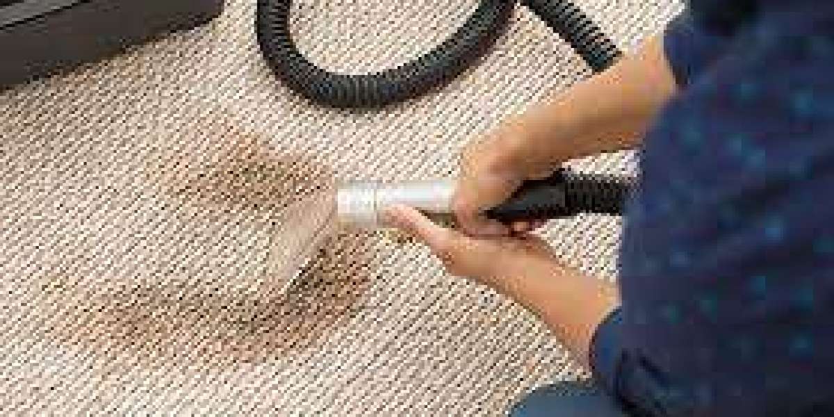 Professional Carpet Cleaning: Key to Allergen-Free Living Spaces