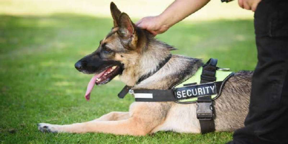 Security dogs in London with Professional Security Dog Services