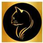 Golden cat Profile Picture
