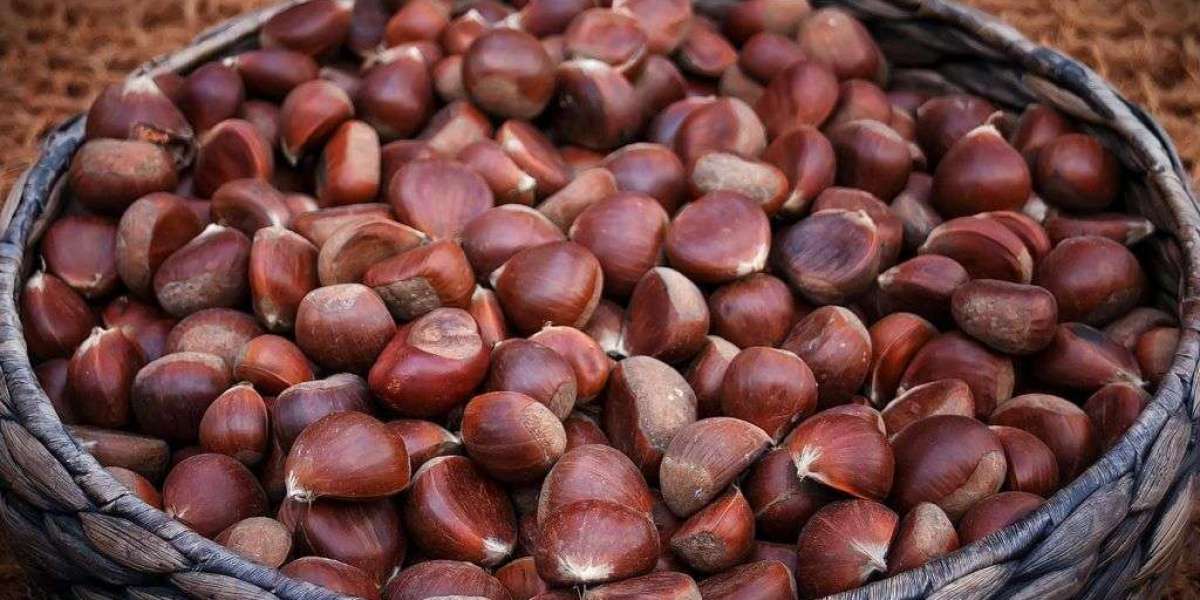 Chestnut Market Analysis, Size, Share, Growth, Trends, and Forecasts 2023-2030