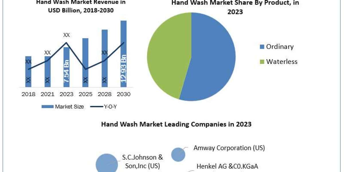 Hand Wash Market Resilience: Lessons from Recent Global Events