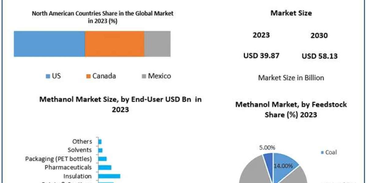 Methanol Market Growth Segments - Business Size with Forthcoming Developments | 2030