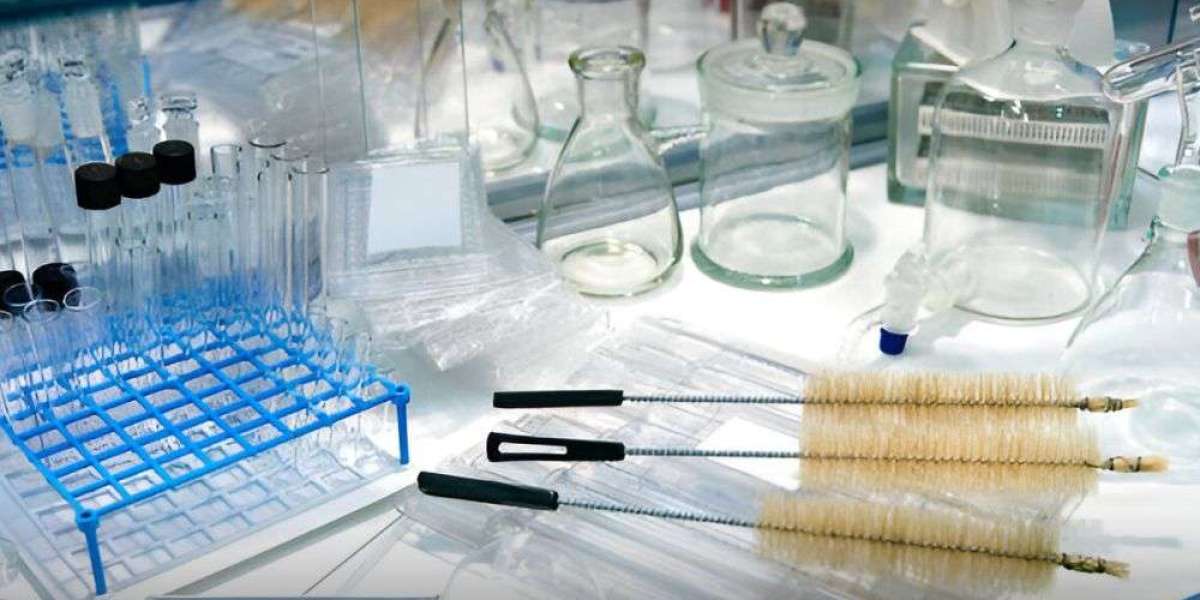 Bioanalytical Testing Services Market Trend Analysis, Latest Revenue Figures, Growth Insights and forecast to 2028