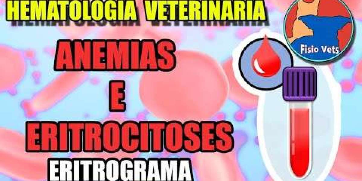 Entendendo o Exame de Cortisol: A Chave para a Saúde do Seu Pet