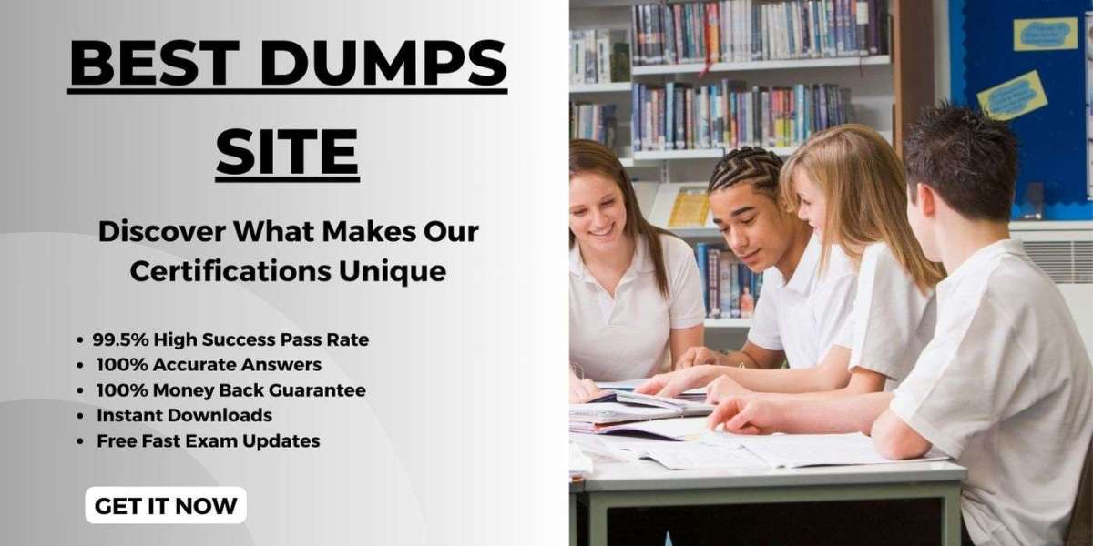 Best Dumps Site: Complete Guide