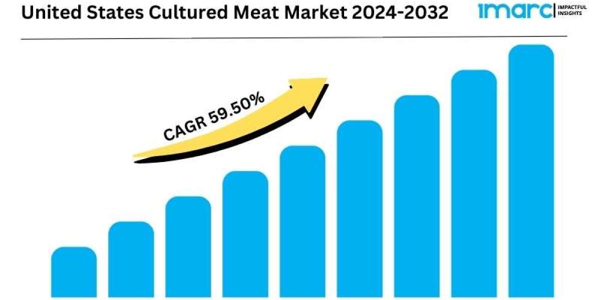 United States Cultured Meat Market Report 2024-2032 | Industry Trends, Share, Size, Growth and Opportunities