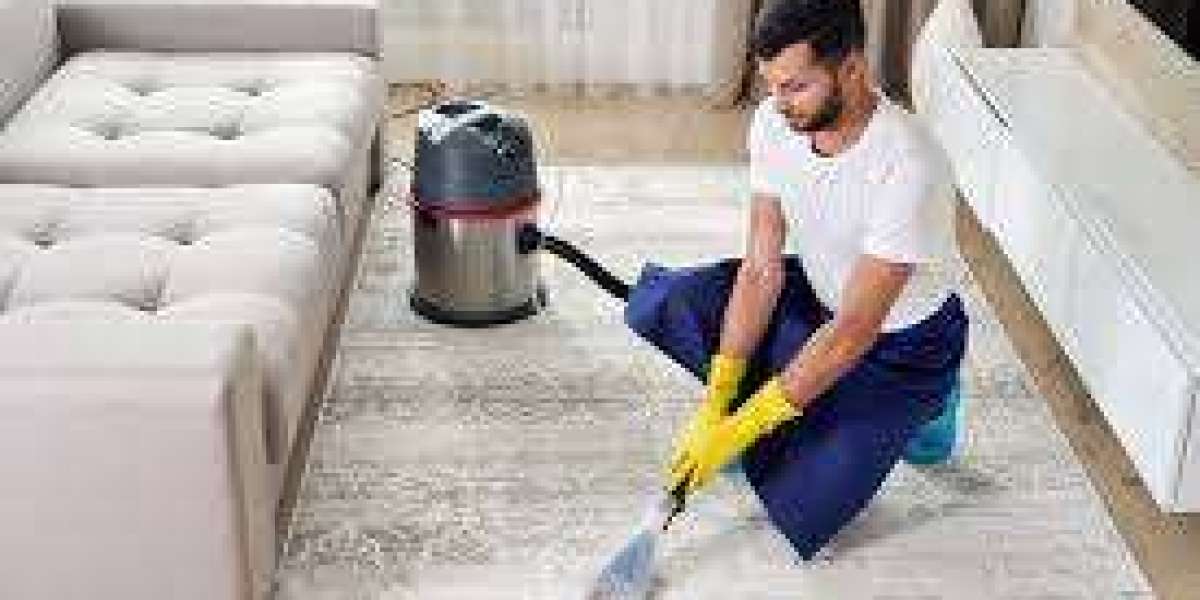 The Importance of Professional Carpet Cleaning for Allergy-Free Living