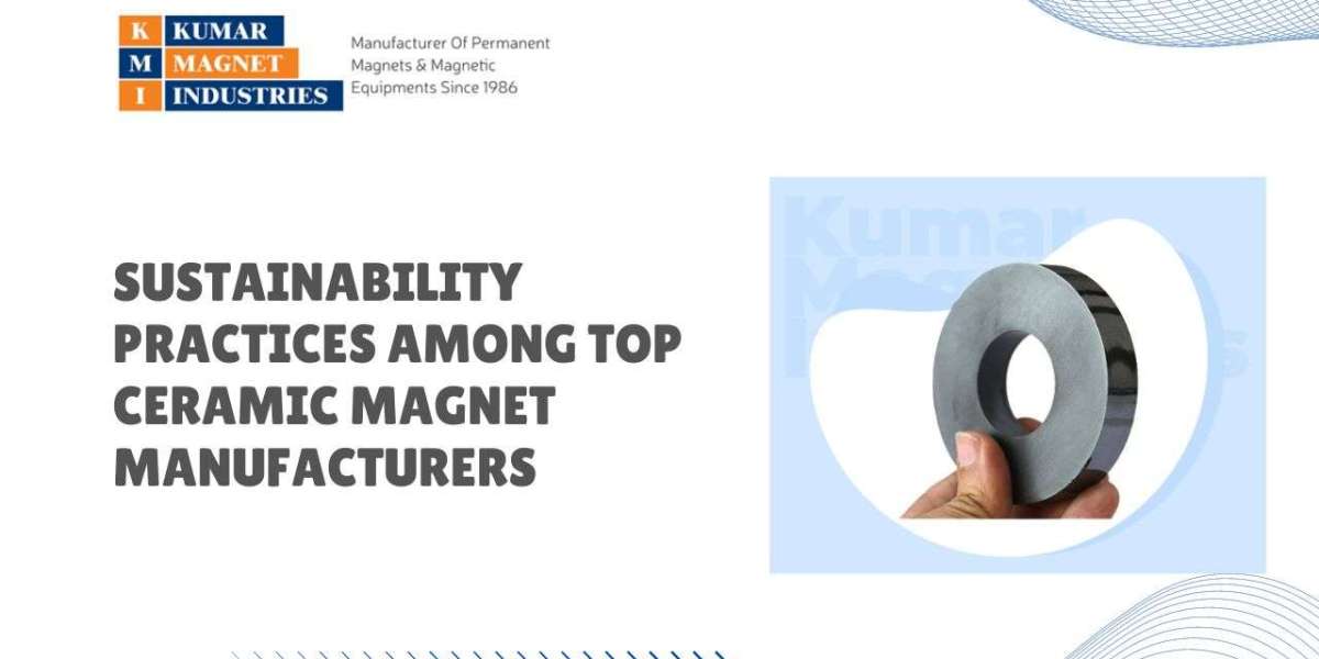 Sustainability Practices Among Top Ceramic Magnet Manufacturers